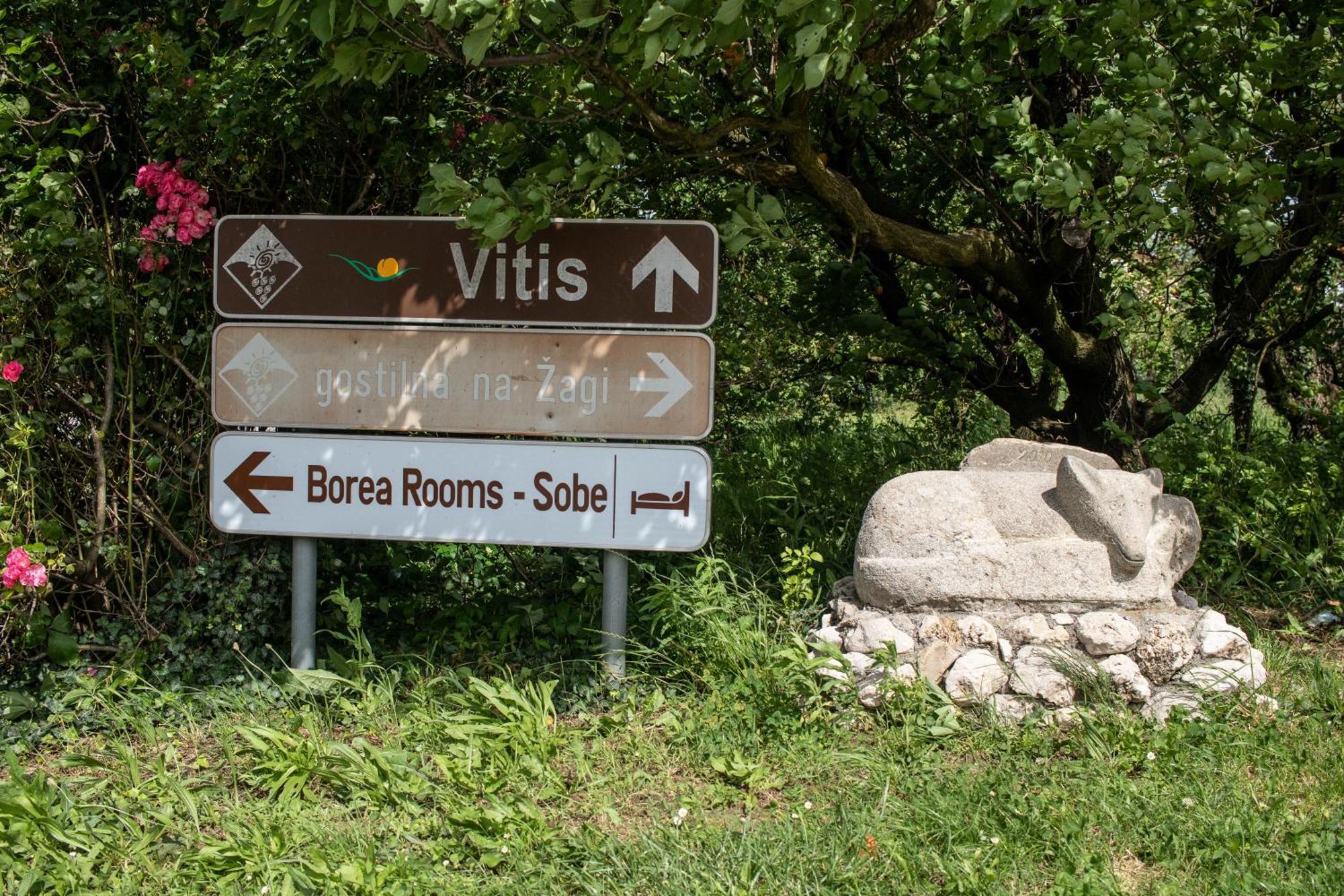 Borea Rooms - Sobe Budanje Vipava Exteriér fotografie