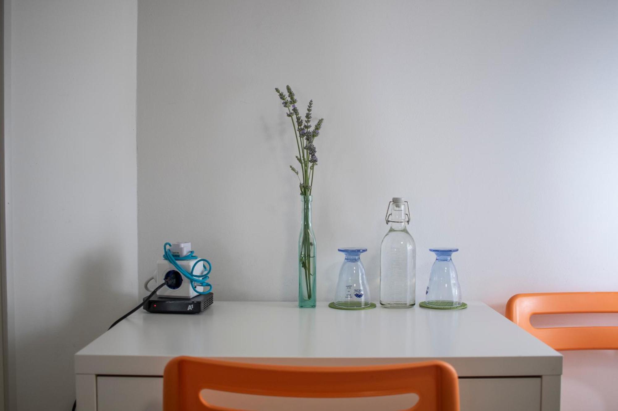 Borea Rooms - Sobe Budanje Vipava Exteriér fotografie